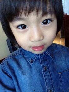 kimi个人资料,音乐才子跨界多能，闪耀舞台的璀璨星辰